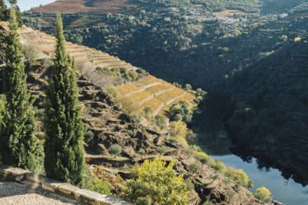 Douro