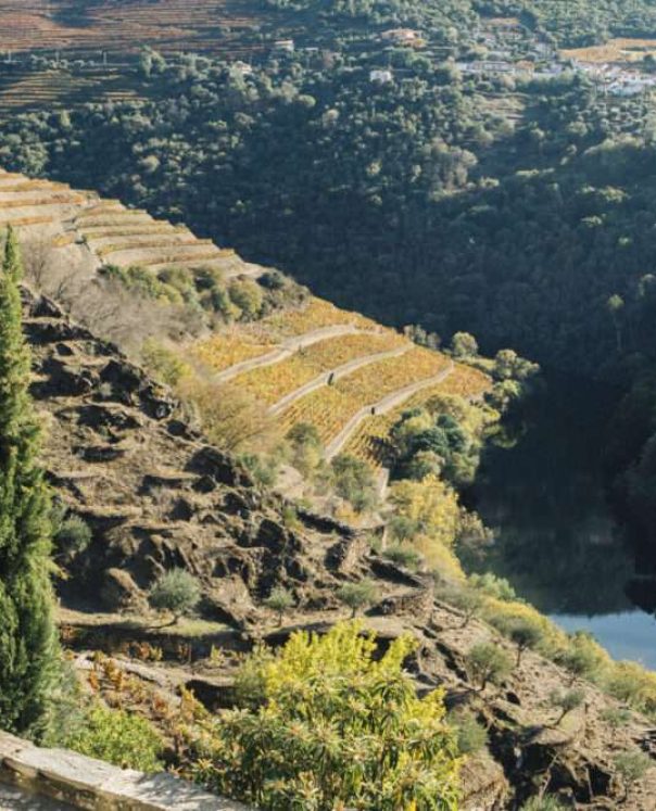 Douro