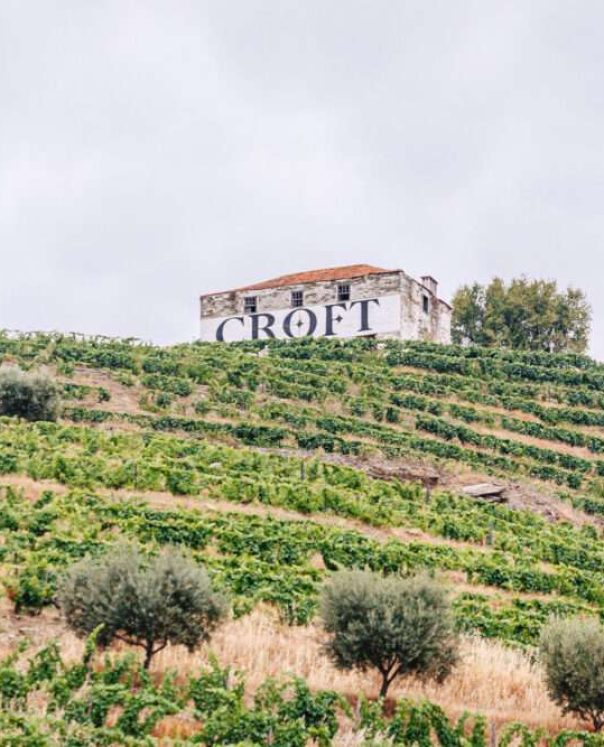 Croft Quinta da Roêda Vineyards (9)