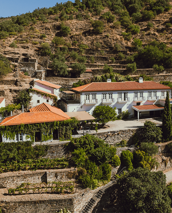 ValentineExperience_panascal_2